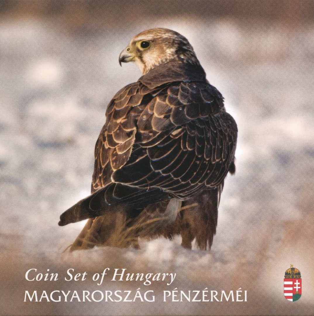 2020.BU Kerecsensólyom Forgalmi sor