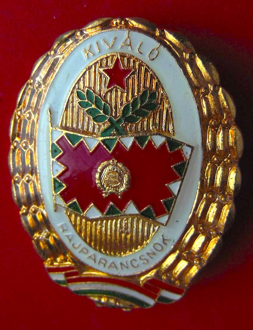 MH. Kiváló Rajparancsnok