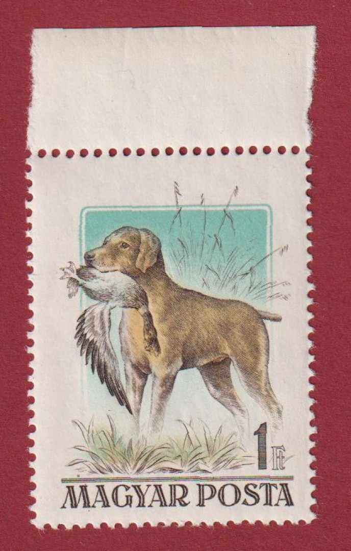 1956. Magyarországi kutyafajták (1524Tny)**