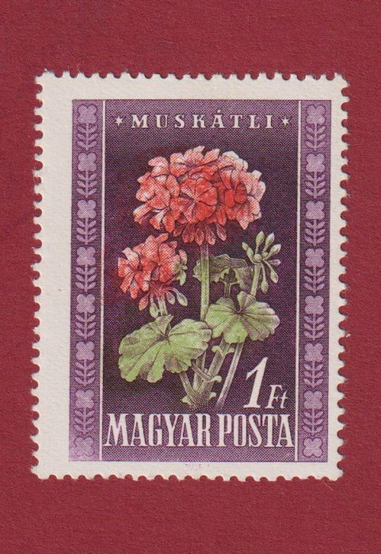 1950. Virág (I.) (1171 Tny)** tervező neve nélkül