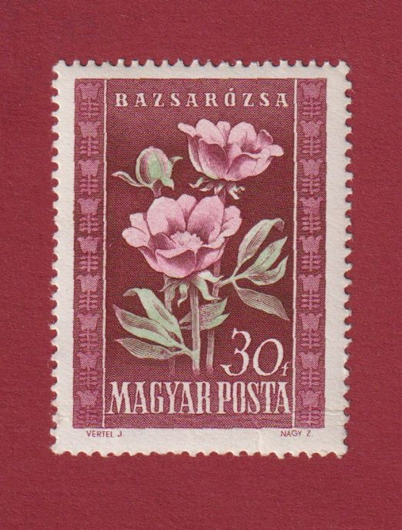 1950. Virág (I.) (1168)