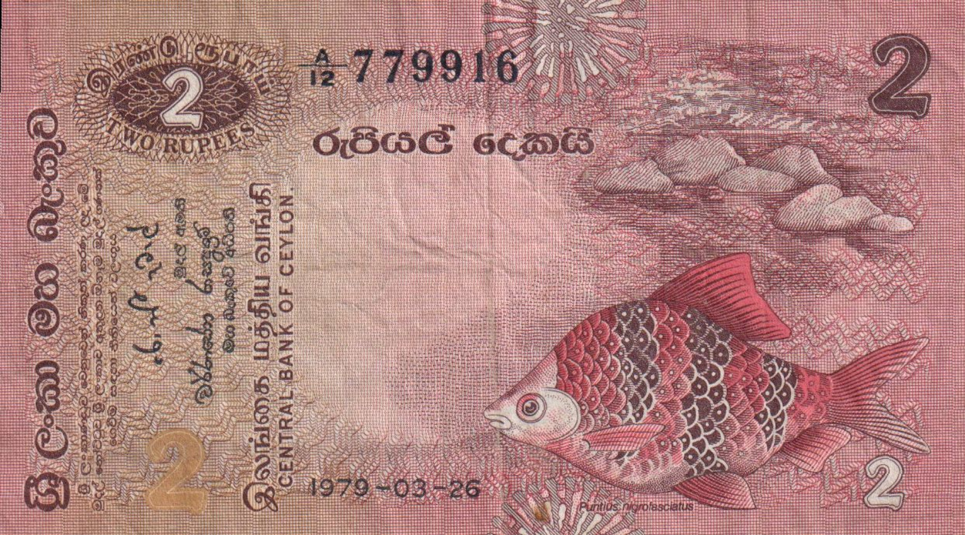 Sri Lanka /Ceylon 2 rupees 1979.   P 83   (L)