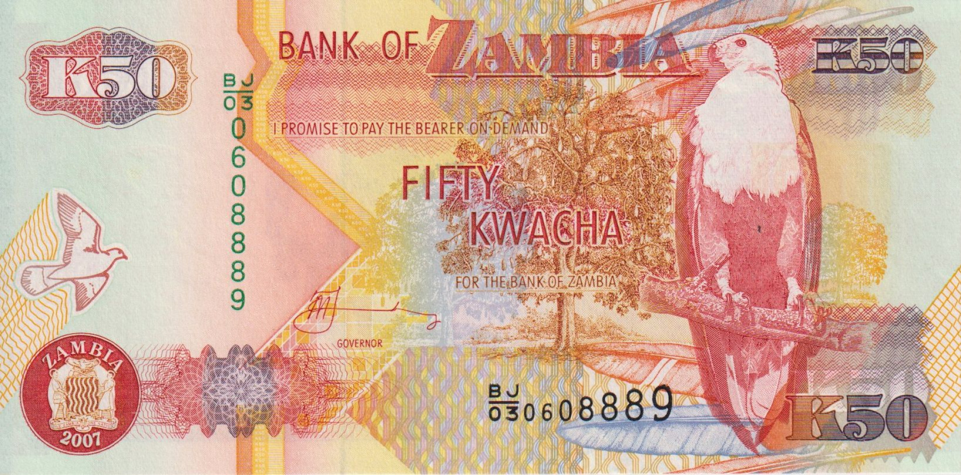 Zambia 50 kwacha 2007. P 37f