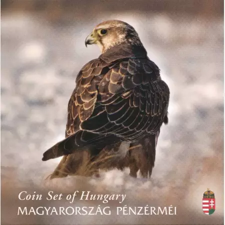 2020.BU Kerecsensólyom Forgalmi sor