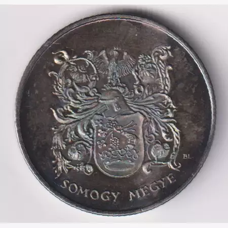B.L. Somogy Megye Közgyűlése érem NI. 42,5mm