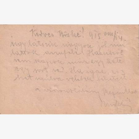 I.Vh.1915. Tábori Postai Levlap. TP. 109  No 46