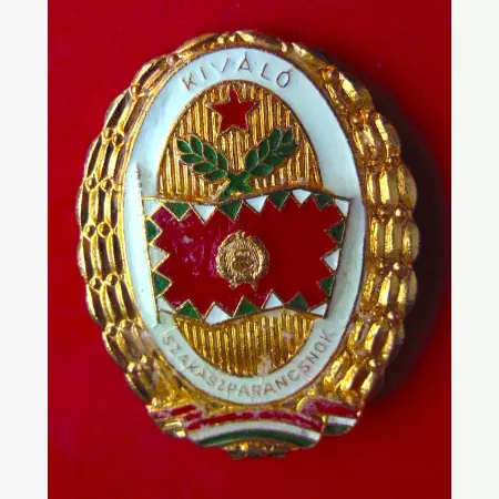MH. Kiváló Szakaszparancsnok