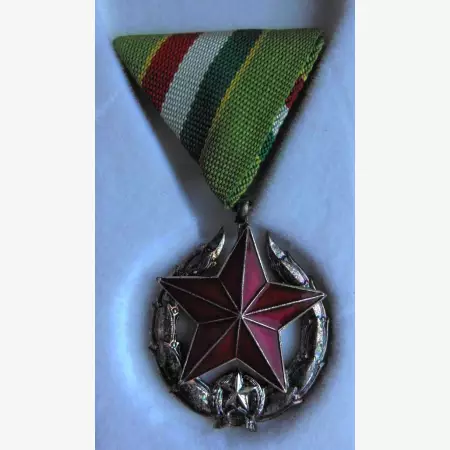 Közbiztonsági Érem ezüst fokozata határőrség tagjai részére dobozban
