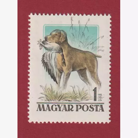 1956. Magyarországi kutyafajták (1524Tny)**