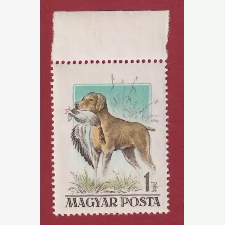 1956. Magyarországi kutyafajták (1524Tny)**