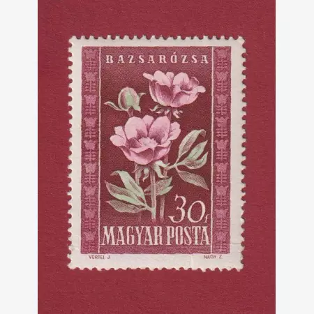 1950. Virág (I.) (1168)
