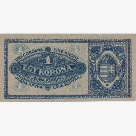1 Korona 1920.  (aa 023)
